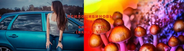 гидра Алексеевка