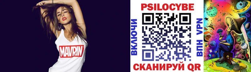 купить  цена  Гаджиево  Галлюциногенные грибы Psilocybe 